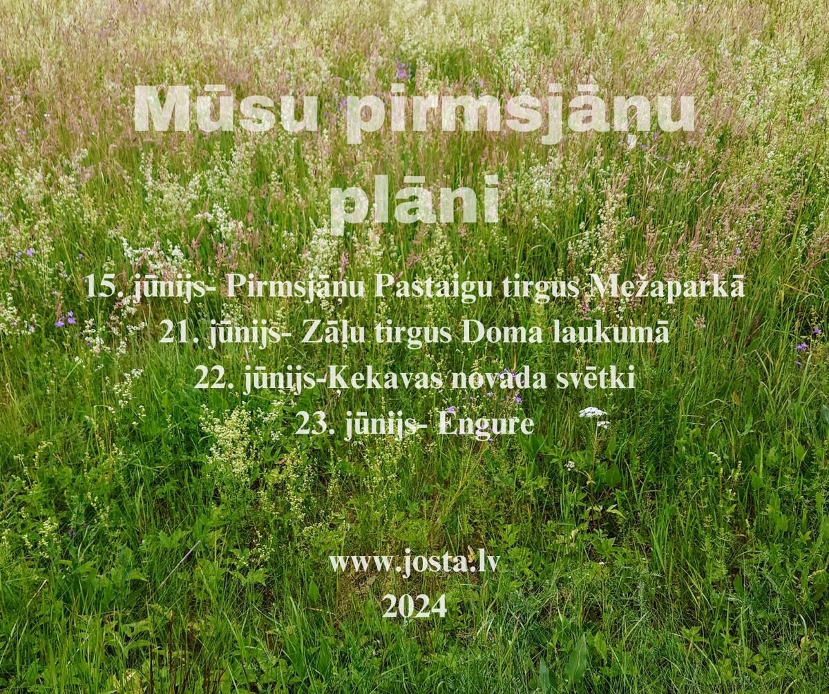 Musu_plani_Jani_un_Ligo_svetki_4.jpg