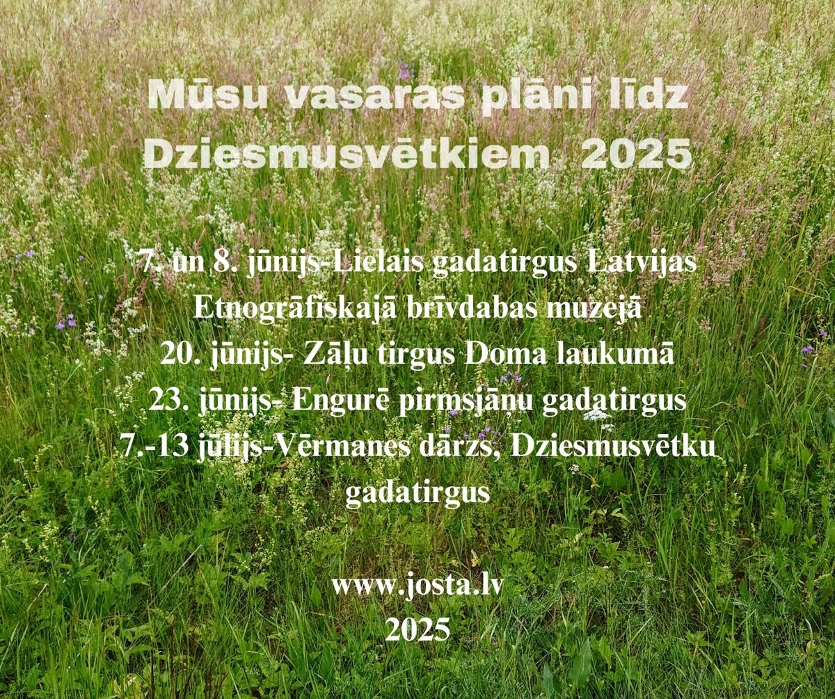 Musu_plani_Jani_un_Ligo_svetki_4_1_.jpg